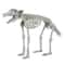34.5" LED Animated Wolf Skeleton by Ashland®